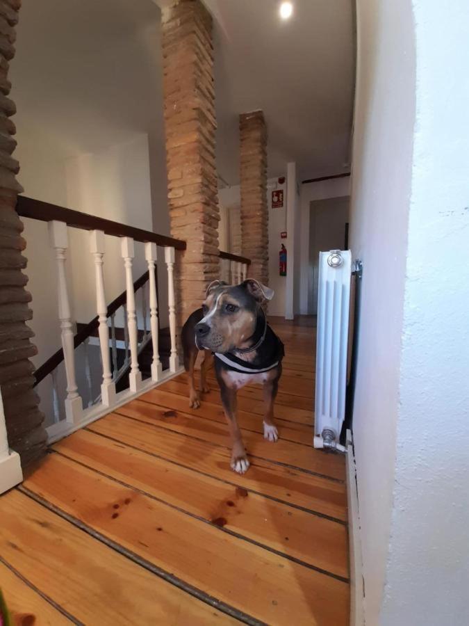 Hosteria Senorio De Bizkaia Bakio Buitenkant foto